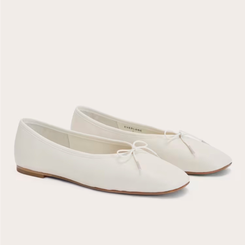 Everlane The Day Ballet Flat in Color Canvas Size 7.5